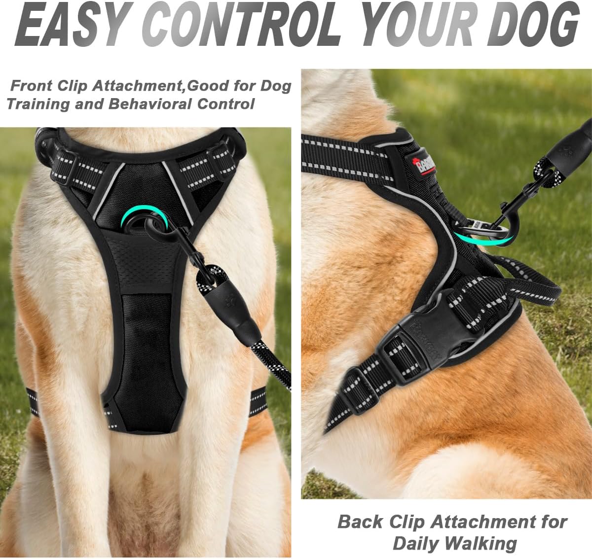 Why the Handle on Your Large Dog Harness Matters More Than the D-Ring