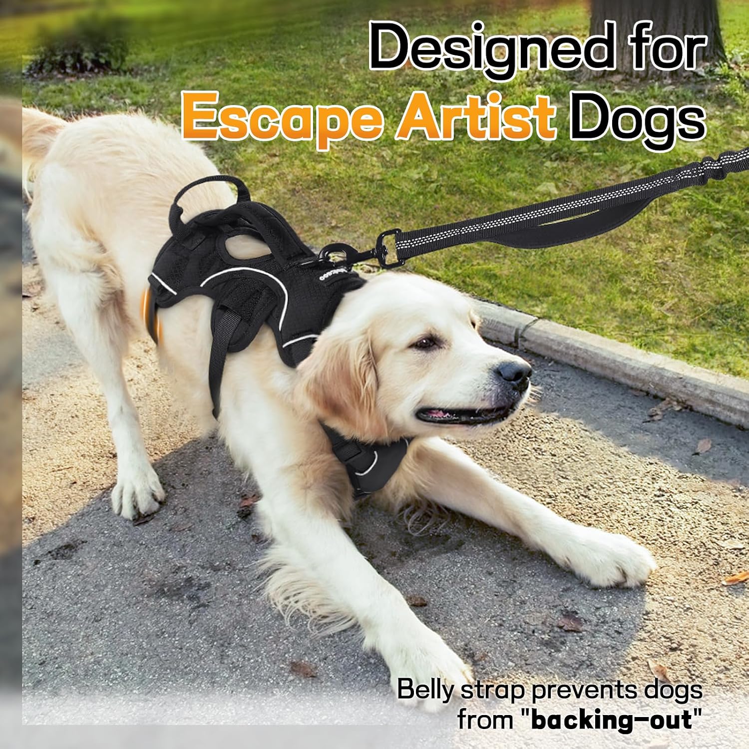 Escape-Proof Harnesses for Dogs Who Back Out, Slip Free, or Full-Send Bolt