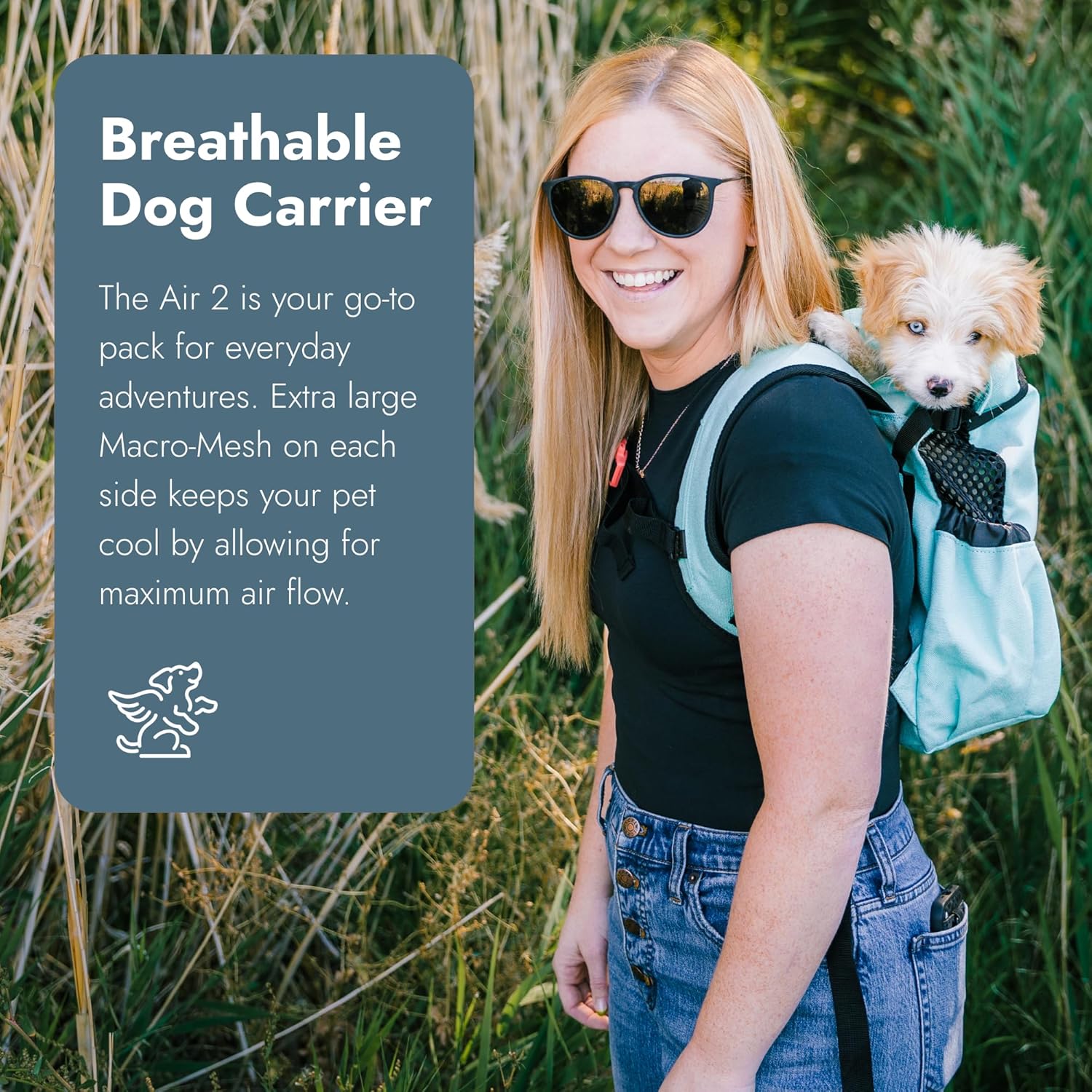 Dog Carrier Backpacks: How to Match Pack Design to Your Dog's Weight, Back Length, and Your Body