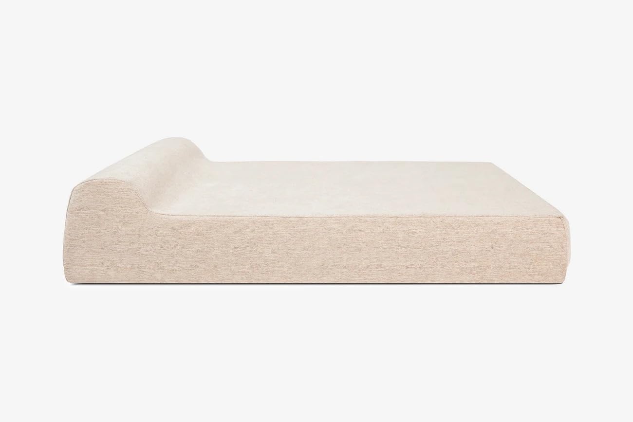 Big Barker vs. Budget Orthopedic Beds: A Long-Term Value Test for Large and Giant Breeds