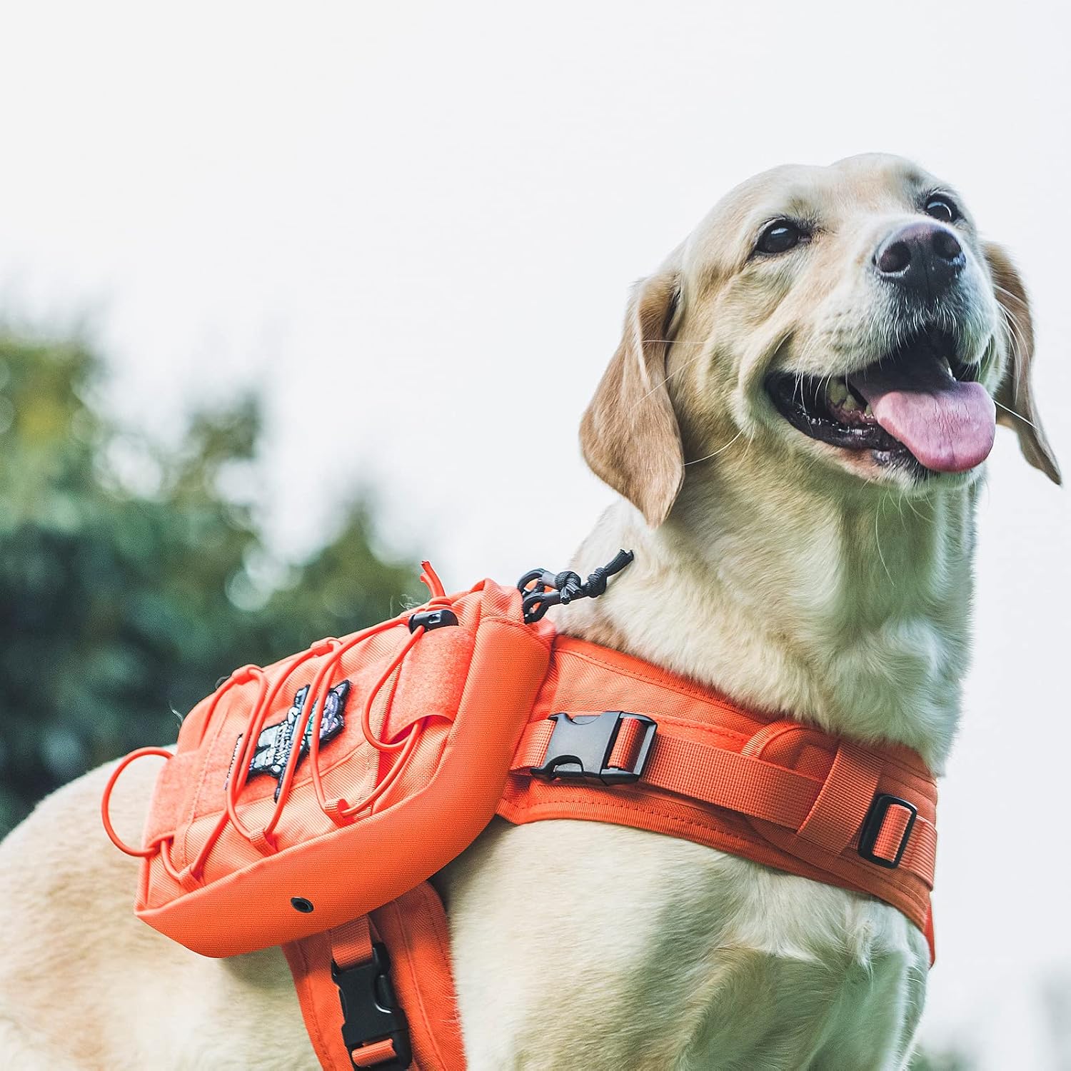 Dog Backpacks That Pull Double Duty: Trail Saddlebags That Also Work as Everyday Control Harnesses