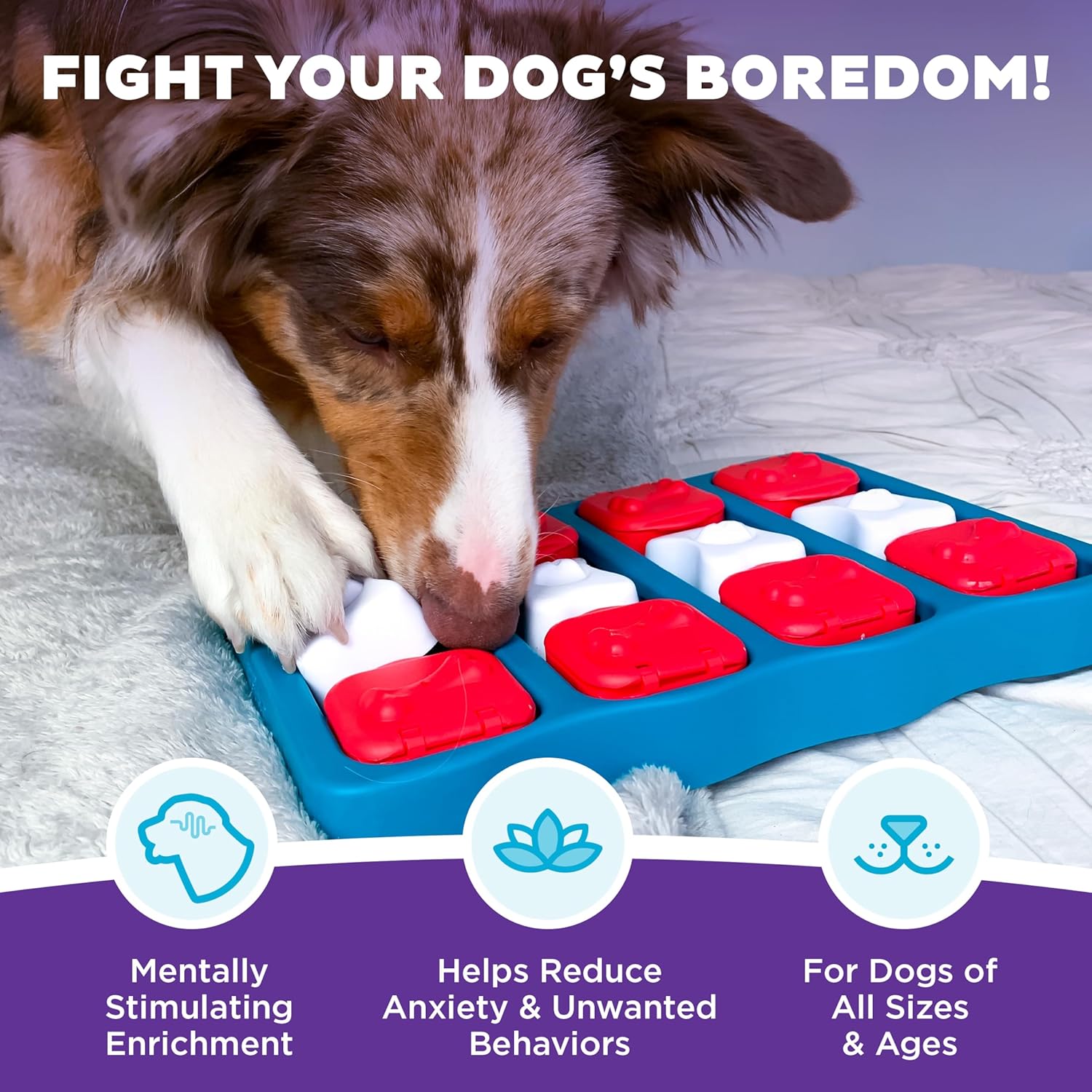 When Your Dog Solves Every Puzzle in Minutes: Moving Beyond Level 2