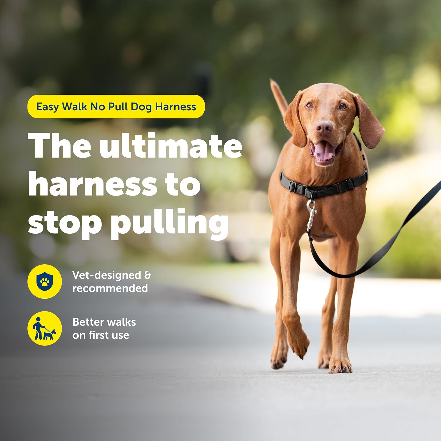 PetSafe product image
