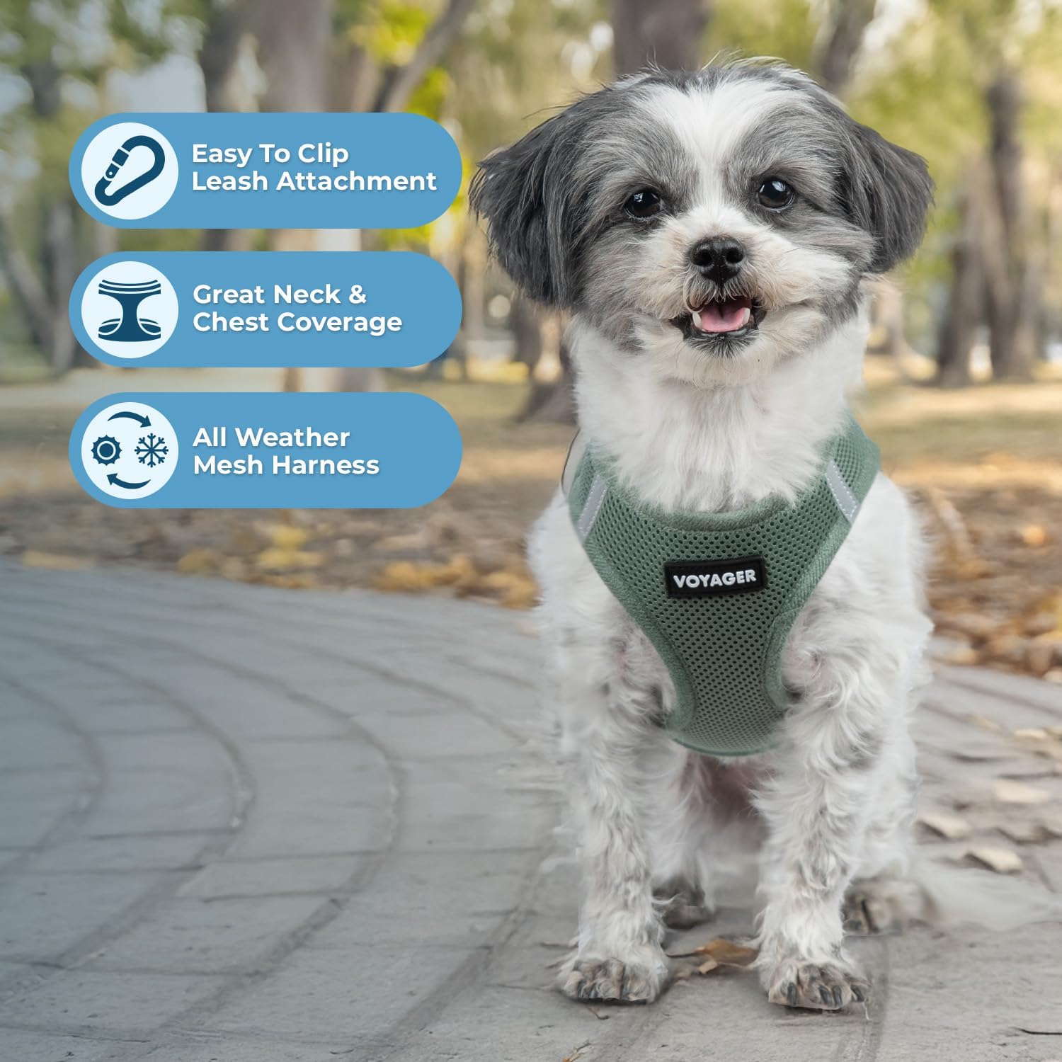 Step-In and Vest Harnesses for Small Dogs: Why the Fit Rules Are Completely Different