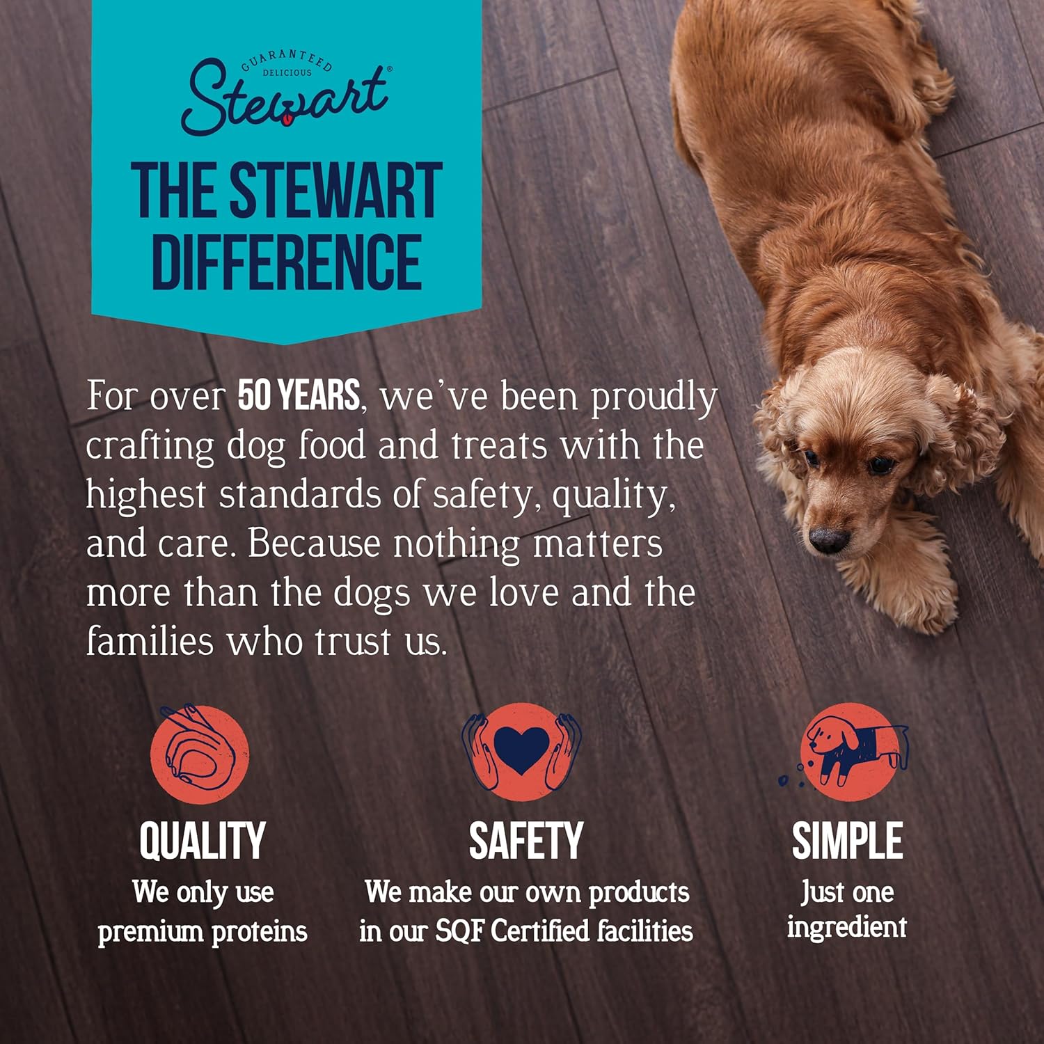 Stewart 100% Beef Liver Dog Treats